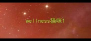 wellness猫咪