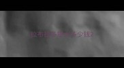 拉布拉多猎犬多少钱