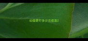 幼猫要打多少次疫苗