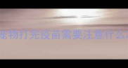 宠物打完疫苗需要注意什么