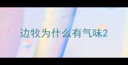 边牧为什么有气味