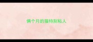 俩个月的猫特别粘人