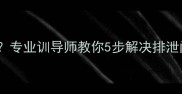 泰迪犬乱拉屎怎么办专业训导师教你5步解决排泄问题附赠训练案例