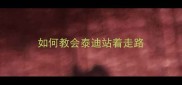如何教会泰迪站着走路