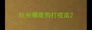 杭州哪里狗打疫苗