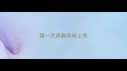 第一次养狗养哈士奇
