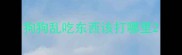 狗狗乱吃东西该打哪里