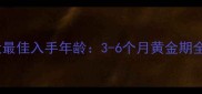 柯基犬最佳入手年龄3-6个月黄金期全攻略