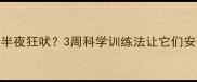 哈士奇半夜狂吠3周科学训练法让它们安静睡觉