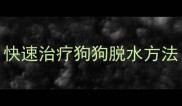 快速治疗狗狗脱水方法