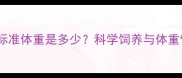 10个月泰迪标准体重是多少科学饲养与体重管理全攻略