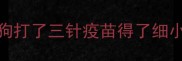 狗打了三针疫苗得了细小