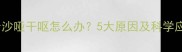 猫咪声音沙哑干呕怎么办5大原因及科学应对指南