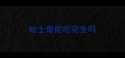 哈士奇能吃花生吗