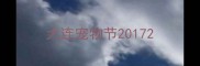 大连宠物节2017