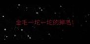 金毛一坨一坨的掉毛
