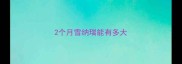2个月雪纳瑞能有多大