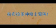 拉布拉多冲哈士奇叫