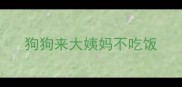 狗狗来大姨妈不吃饭