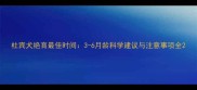 杜宾犬绝育最佳时间3-6月龄科学建议与注意事项全