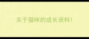 关于猫咪的成长资料