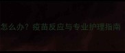泰迪疫苗后肿胀怎么办疫苗反应与专业护理指南附兽医建议