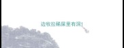 边牧拉稀屎里有洞