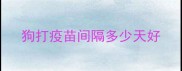 狗打疫苗间隔多少天好