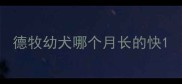 德牧幼犬哪个月长的快