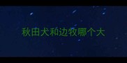 秋田犬和边牧哪个大