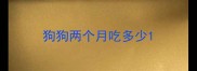 狗狗两个月吃多少