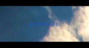 成年泰迪多久驱虫