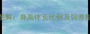 哈士奇标准体型图解身高体长比例及饲养指南附对照表