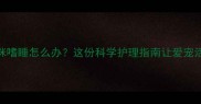 绝育后猫咪嗜睡怎么办这份科学护理指南让爱宠活力全开