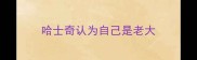 哈士奇认为自己是老大