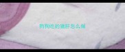狗狗吃的猪肝怎么做