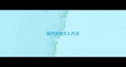 国内宠物怎么托运