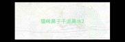 猫咪鼻子干流鼻水
