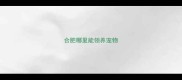 合肥哪里能领养宠物