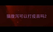 猫腹泻可以打疫苗吗