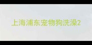 上海浦东宠物狗洗澡