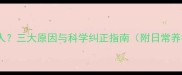 边牧爱咬人三大原因与科学纠正指南附日常养护技巧