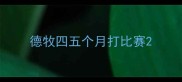 德牧四五个月打比赛