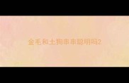 金毛和土狗串串聪明吗