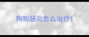狗狗肠炎怎么治疗