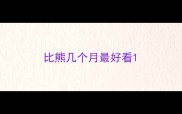 比熊几个月最好看