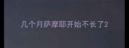 几个月萨摩耶开始不长了