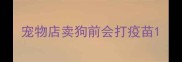 宠物店卖狗前会打疫苗