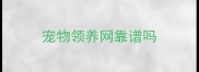 宠物领养网靠谱吗