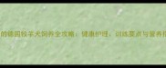 5个月大的德国牧羊犬饲养全攻略健康护理训练要点与营养搭配指南